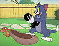 Скачать мультфильмы Tom and Jerry