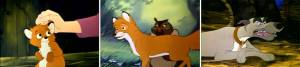     / The Fox and the Hound